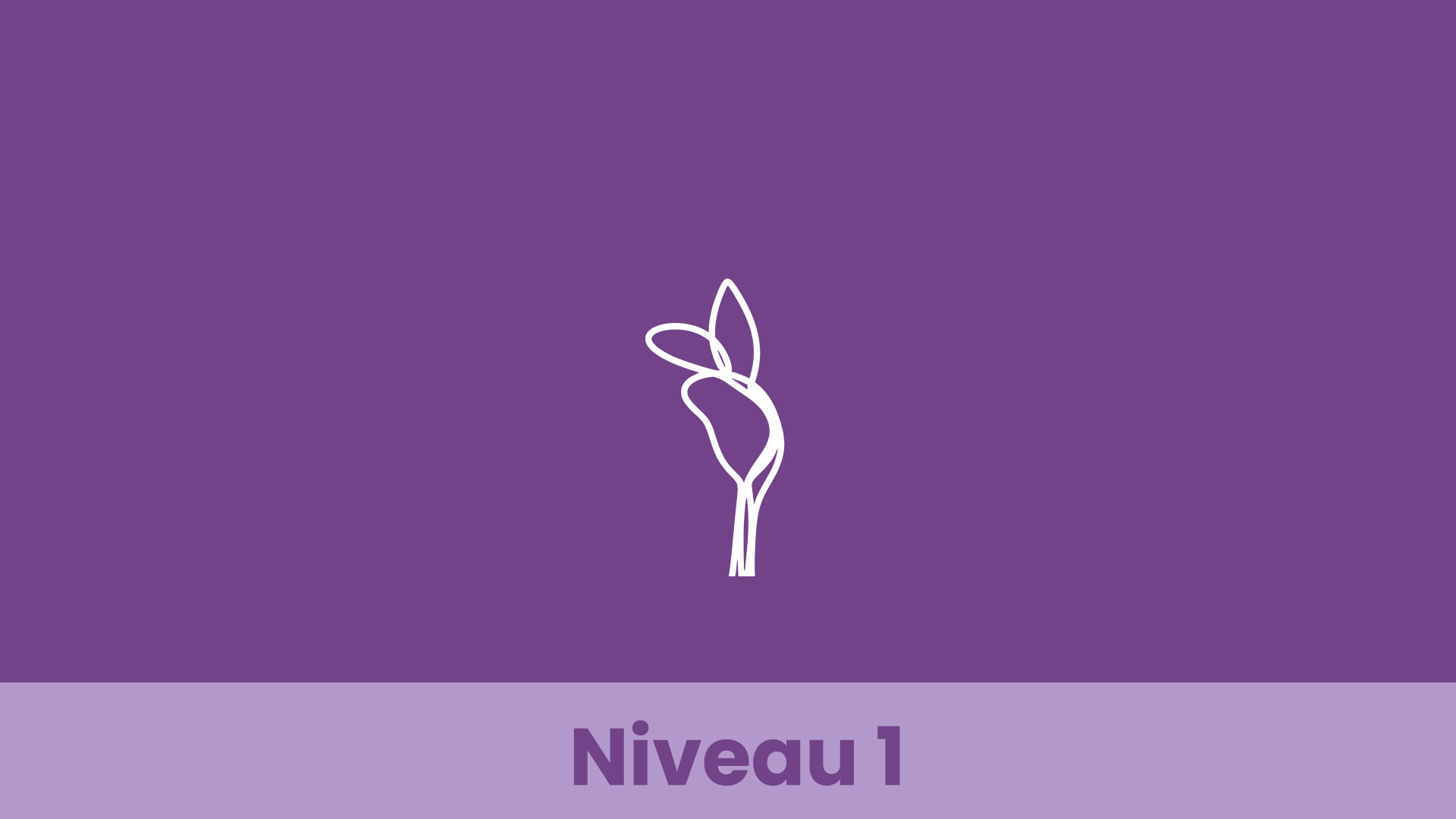Niveau_1a_FR
