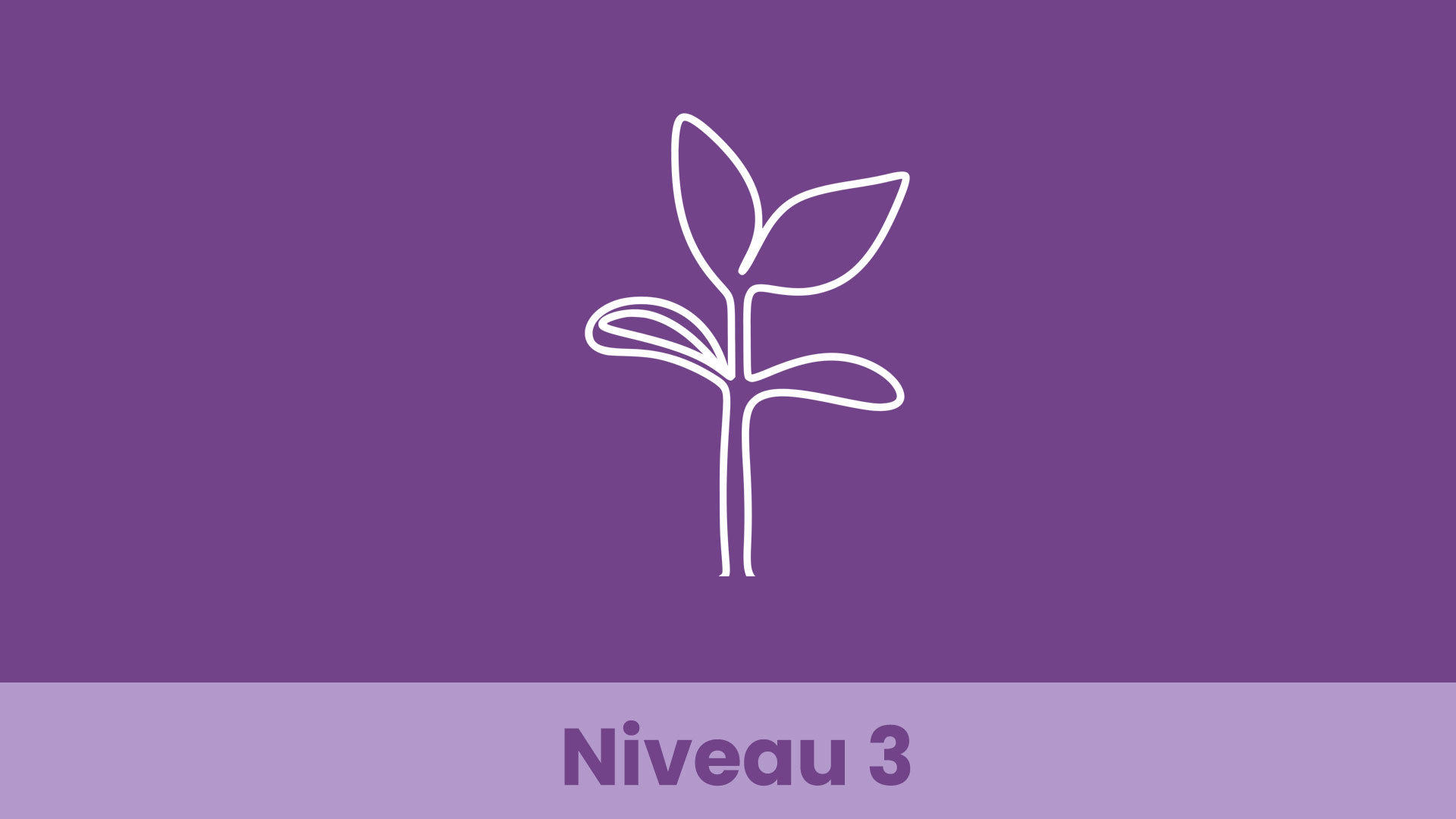Niveau_3a_FR